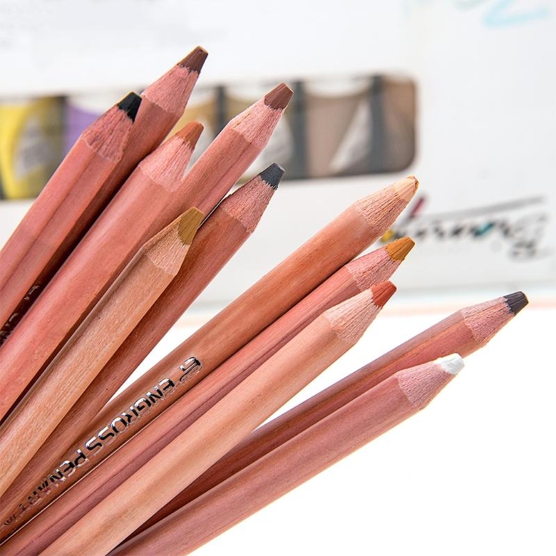 Colored Pencil Professional - 12Pcs Professional Soft Pastel Pencils Skin