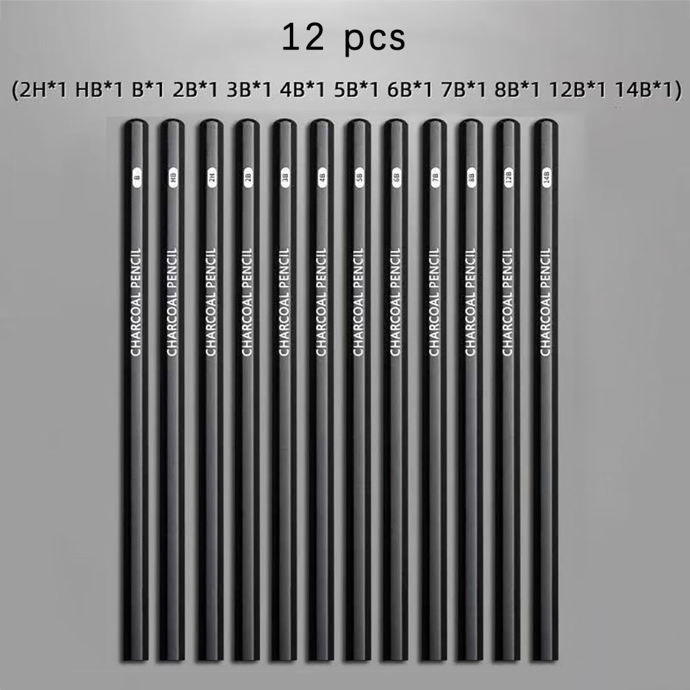 Sketching Charcoal Set - 12 pieces Sketching pencil for students,
