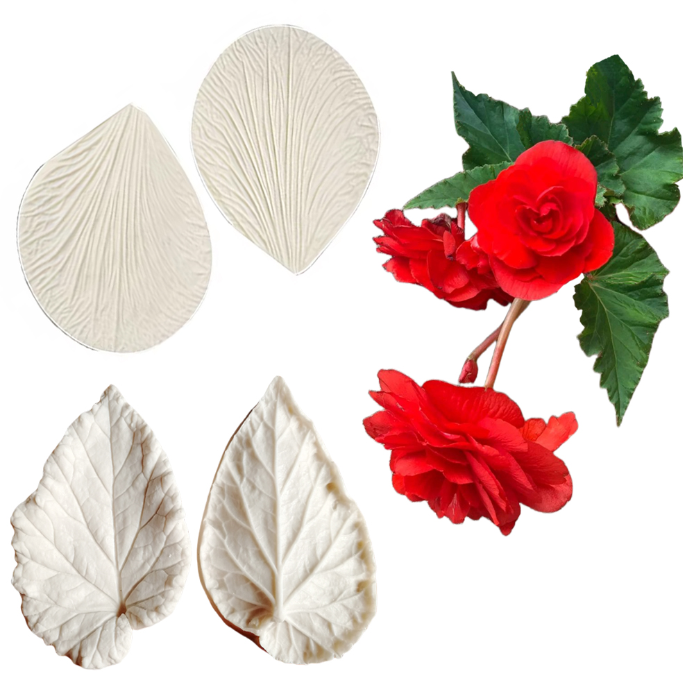 Begonia Tuberous Veiner Silico - Eco Art Craft recension och pris