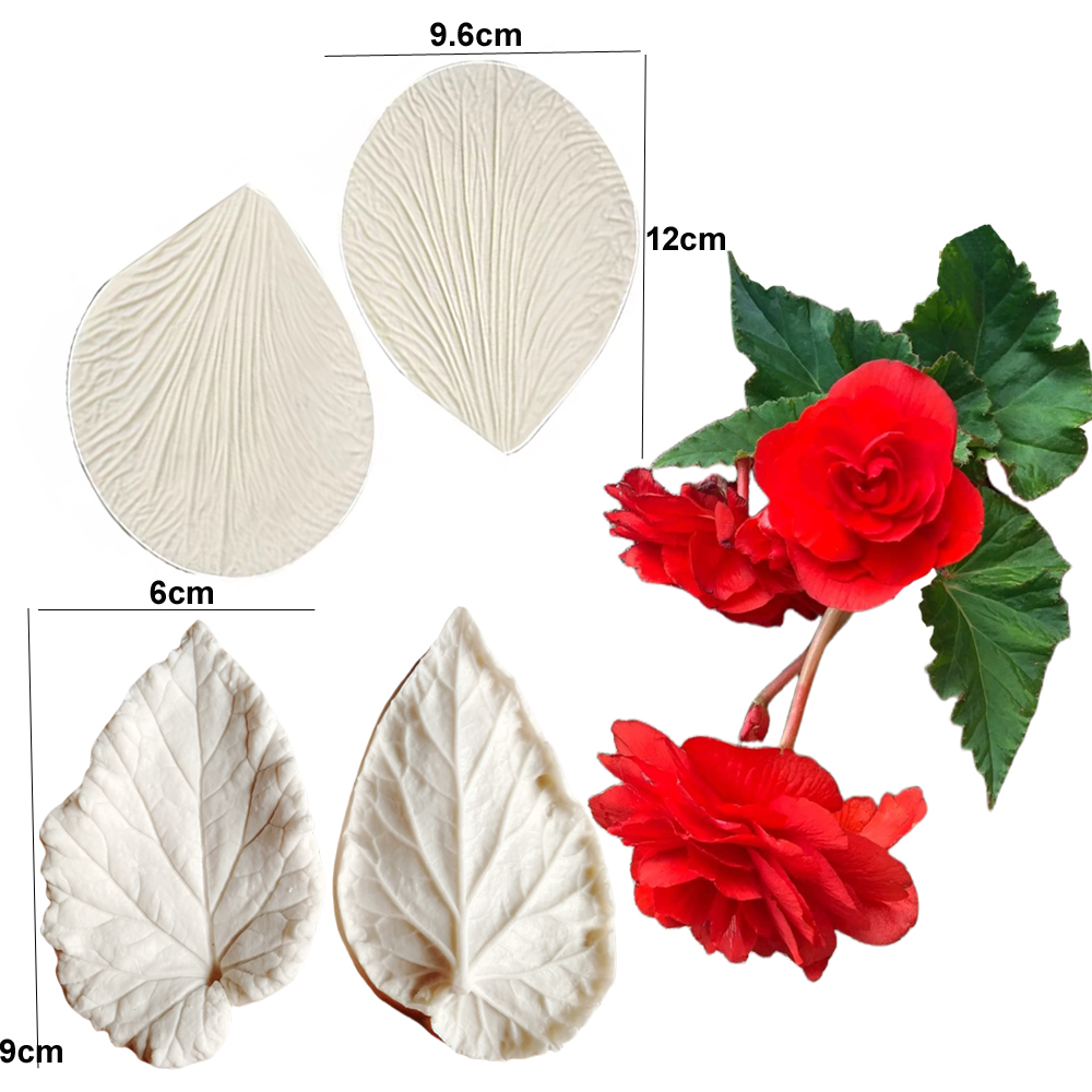Begonia Tuberous Veiner Silico - Eco Art Craft recension och pris