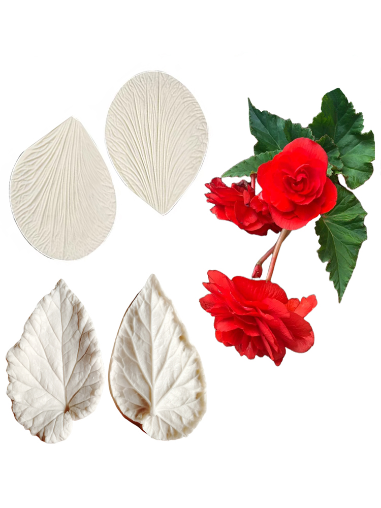 Begonia Tuberous Veiner Silico - Eco Art Craft recension och pris