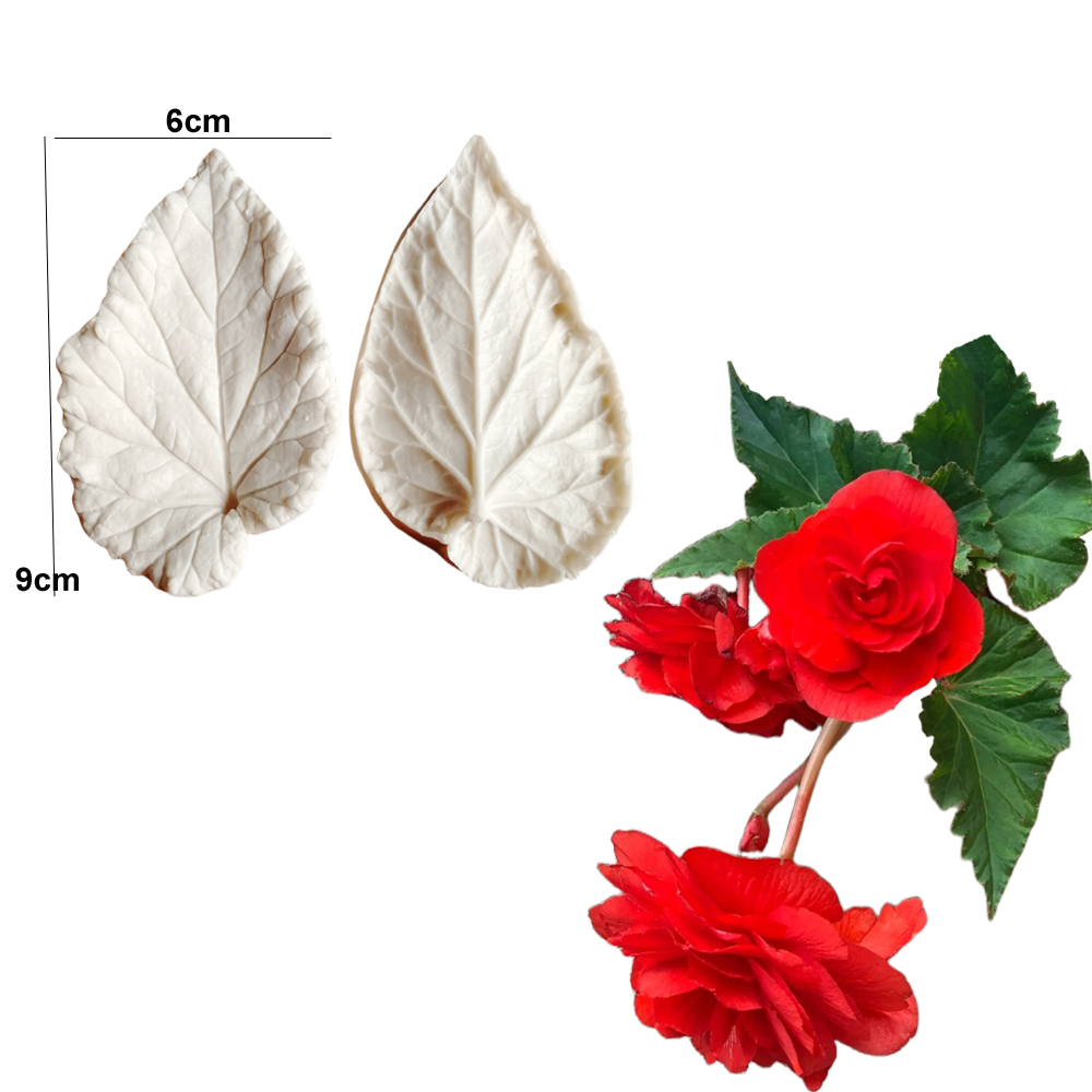 Begonia Tuberous Veiner Silico - Eco Art Craft recension och pris