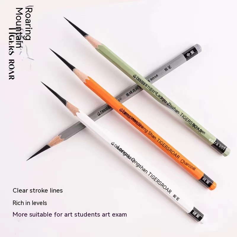 10 Pack Sketch Black Charcoal  - Sketching Charcoal Set recension och pris