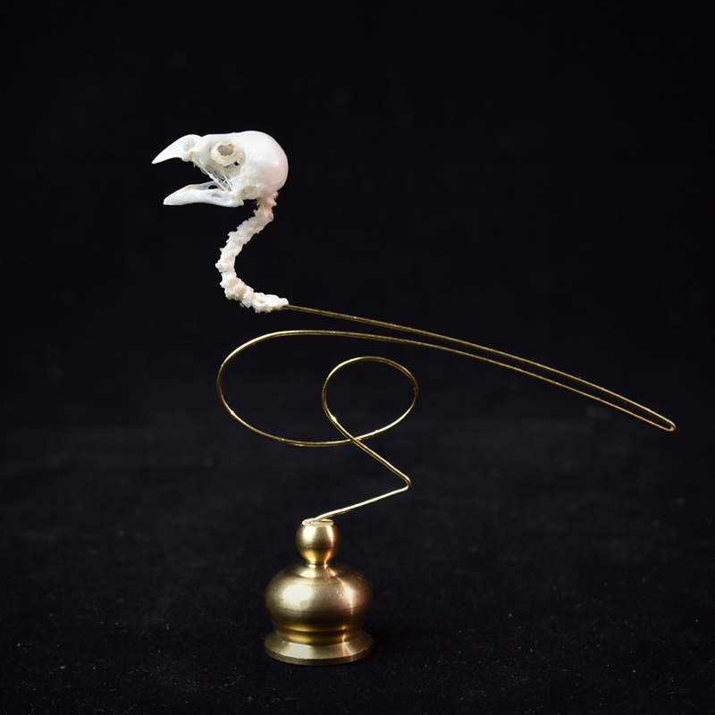 2111 Boutique Ethical Bird Sku - Art Craft Museum recension och pris