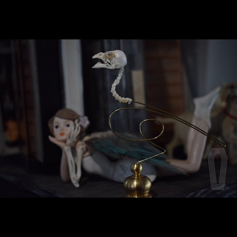 2111 Boutique Ethical Bird Sku - Art Craft Museum recension och pris