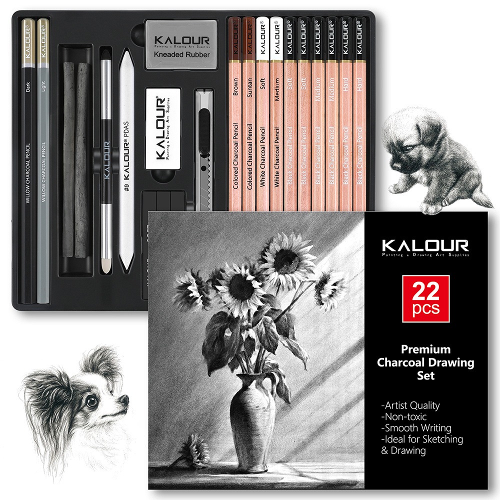 KALOUR 25/22pcs Sketching Penc - Sketching Charcoal Set recension och pris