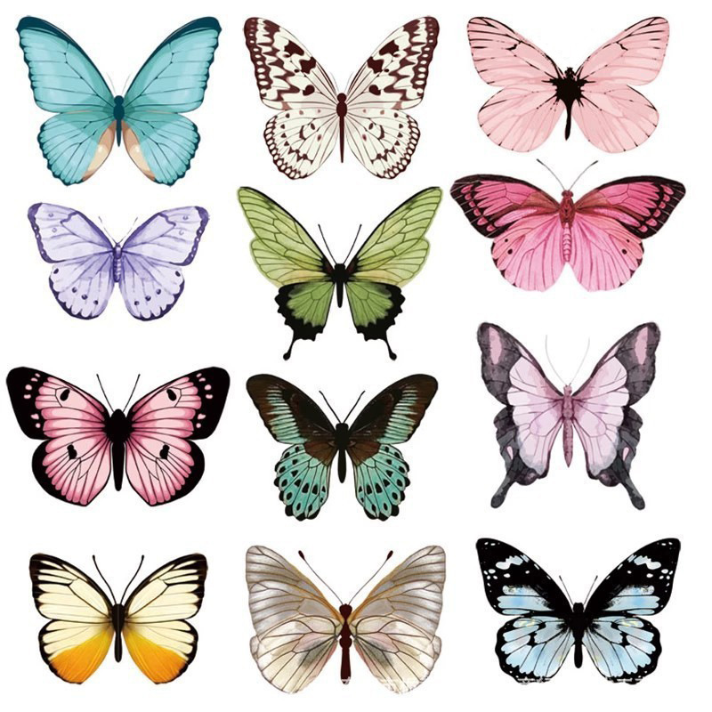 12pcs 3D Butterfly Wall Sticke - Art Craft Birthday Party recension och pris